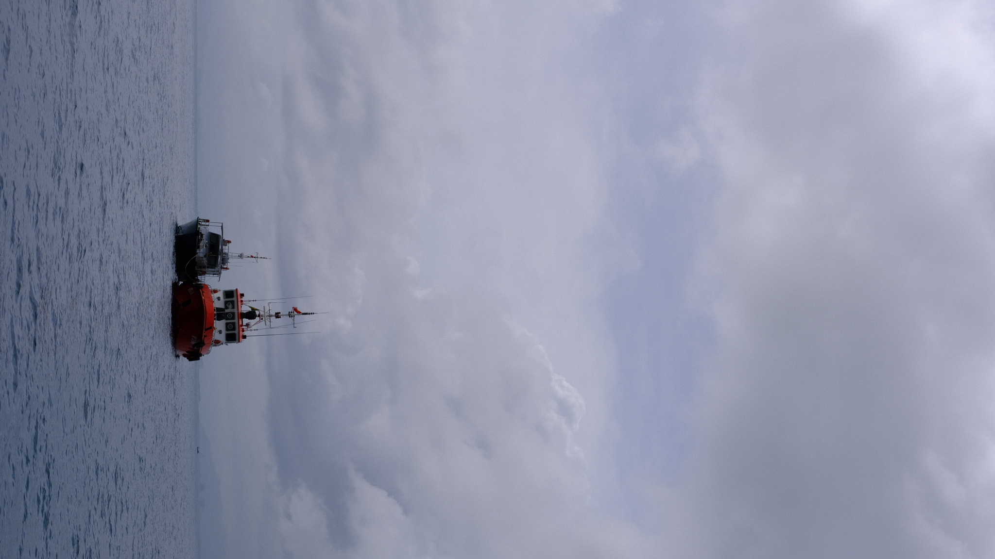 ship_friends