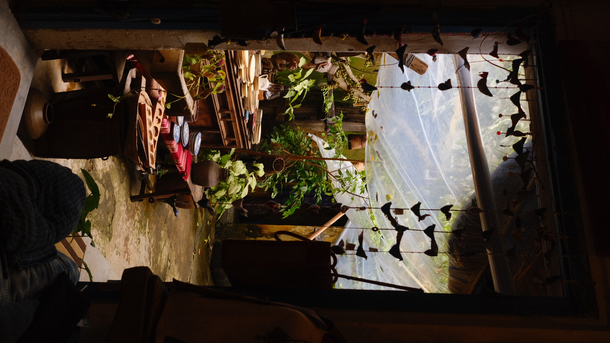 vietnam_shop2