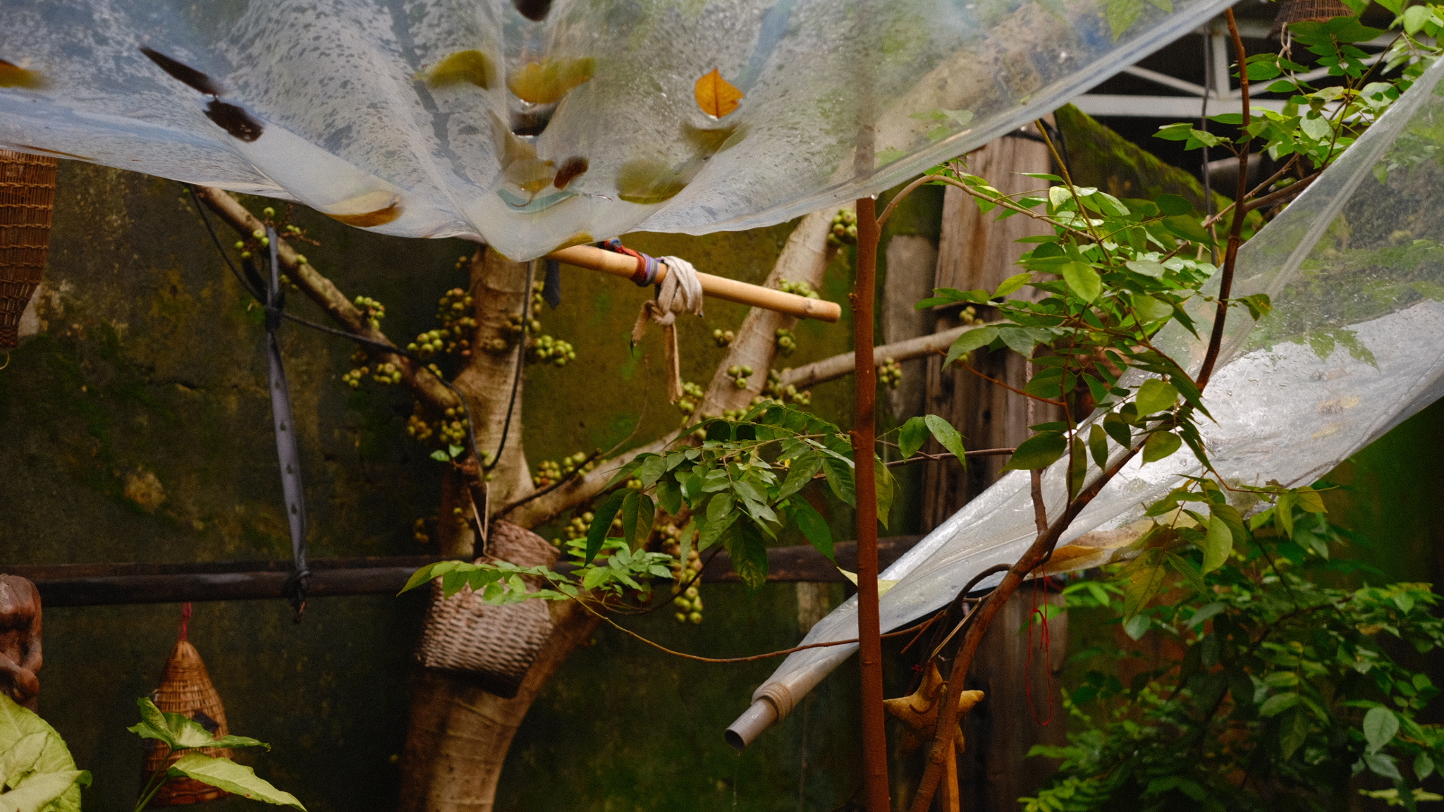 vietnam_shop