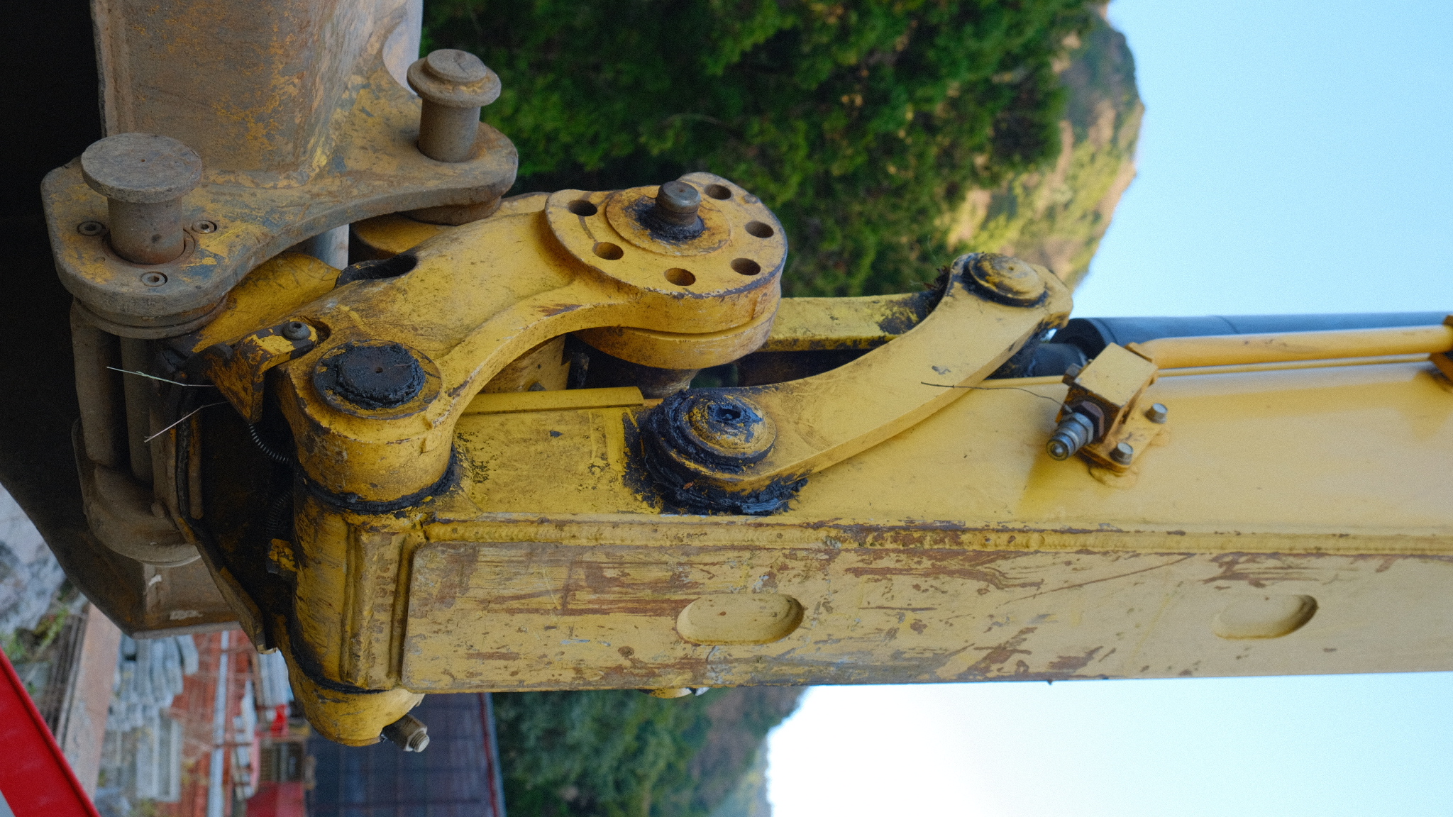 crane